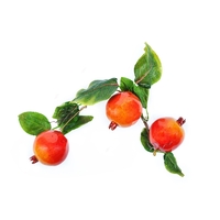 Ветка муляжей "Гранат" - fgospostavki.ru - Красный Сулин