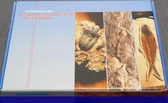 Коллекция "Палеонтологическая" (16 образцов) - fgospostavki.ru - Красный Сулин
