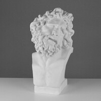 Бюст Лаокоона (гипс) - fgospostavki.ru - Красный Сулин