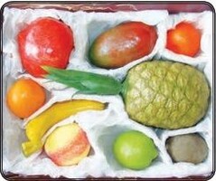 Набор муляжей тропических фруктов - fgospostavki.ru - Красный Сулин