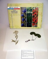 Гербарий "Ядовитые растения" (20 видов) - fgospostavki.ru - Красный Сулин