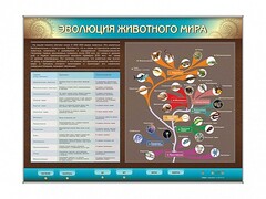 Интерактивный электрифицированный стенд "Эволюция животного мира" - fgospostavki.ru - Красный Сулин