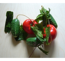 Ветка муляжей "Ассорти" (овощи) - fgospostavki.ru - Красный Сулин