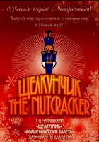 DVD "Щелкунчик. Волшебный мир балета" сказка-балет для детей - fgospostavki.ru - Красный Сулин