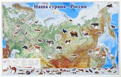 Магнитные карточки "Животные" - fgospostavki.ru - Красный Сулин