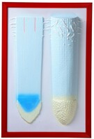 Барельефная модель "Клеточное строение корня" - fgospostavki.ru - Красный Сулин