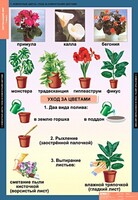 Комплект таблиц. Окружающий мир 1 класс. - fgospostavki.ru - Красный Сулин