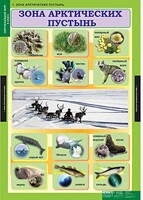 Комплект таблиц. Окружающий мир 4 класс. - fgospostavki.ru - Красный Сулин