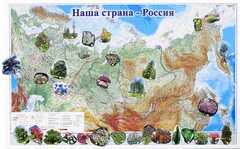 Магнитные карточки "Растения" - fgospostavki.ru - Красный Сулин