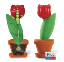 Модель цветка - fgospostavki.ru - Красный Сулин