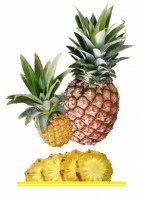 Комплект карточек "Запоминай, играй, считай" - Фрукты - fgospostavki.ru - Красный Сулин