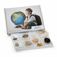 Коллекция "Обитатели морского дна" - fgospostavki.ru - Красный Сулин