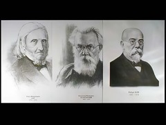 Портреты биологов (26 штук, формат А3) - fgospostavki.ru - Красный Сулин