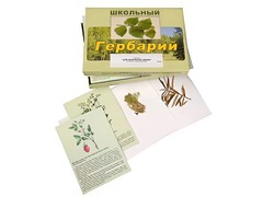 Гербарий "Для начальной школы" (30 видов, с иллюстрациями) - fgospostavki.ru - Красный Сулин