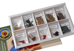 Коллекция "Плоды сельскохозяйственных растений" - fgospostavki.ru - Красный Сулин