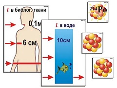 Модель-аппликация "Явление радиоактивности" (ламинированная) - fgospostavki.ru - Красный Сулин