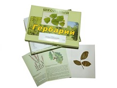 Гербарий "Дикорастущие растения" (30 видов, с иллюстрациями) - fgospostavki.ru - Красный Сулин