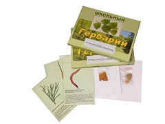 Гербарий "Основные группы растений. Грибы. Лишайники" (53 листа, с иллюстрациями и фотографиями) - fgospostavki.ru - Красный Сулин