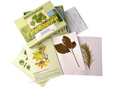 Гербарий "Жизненные формы цветковых растений" (раздаточный) - fgospostavki.ru - Красный Сулин