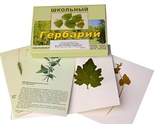 Гербарий "Систематика растений. Высшие споровые и семенные" (раздаточный) - fgospostavki.ru - Красный Сулин