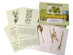 Гербарий "Систематика растений. Семейство Бобовые. Злаки" (раздаточный) - fgospostavki.ru - Красный Сулин