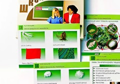 Коллекция "Шелк и продукты его переработки" (средняя школа) - fgospostavki.ru - Красный Сулин