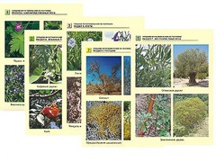 Гербарий фотографический по географии - fgospostavki.ru - Красный Сулин