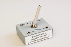 Выключатель двухполюсный (демонстрационный) - fgospostavki.ru - Красный Сулин