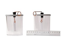 Электроскопы (2 штуки) - fgospostavki.ru - Красный Сулин