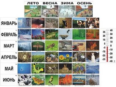 Фенологические наблюдения - fgospostavki.ru - Красный Сулин