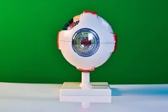 Модель глаза - fgospostavki.ru - Красный Сулин