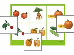 Логопедическое лото "Овощи" (4 планшета, 24 карточки, цветное, ламинированное) - fgospostavki.ru - Красный Сулин