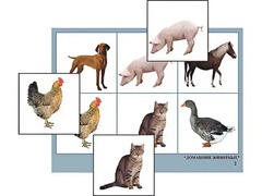 Логопедическое лото "Домашние животные" (4 планшета, 24 карточки, цветное, ламинированное) - fgospostavki.ru - Красный Сулин