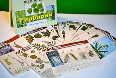 Гербарий к курсу основ общей биологии - fgospostavki.ru - Красный Сулин