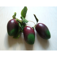 Ветка муляжей "Манго" - fgospostavki.ru - Красный Сулин