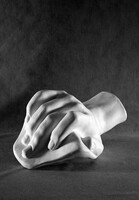 Кисть Давида (гипс) - fgospostavki.ru - Красный Сулин