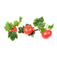 Ветка муляжей "Помидоры" - fgospostavki.ru - Красный Сулин