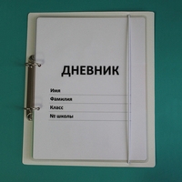 Дневник школьника (с полным набором карточек) - fgospostavki.ru - Красный Сулин