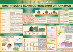 Таблица "Биотические взаимоотношения организмов" (100х140 сантиметров, винил) - fgospostavki.ru - Красный Сулин