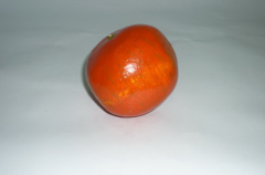 Муляж "Гранат" - fgospostavki.ru - Красный Сулин