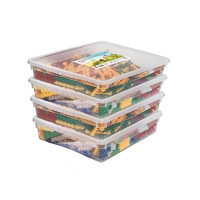 Набор для конструирования «Фанкластик: весь мир в руках твоих 4 (4-5 лет)» - fgospostavki.ru - Красный Сулин