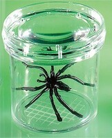 Баночка для изучения насекомых GeoSafari - fgospostavki.ru - Красный Сулин