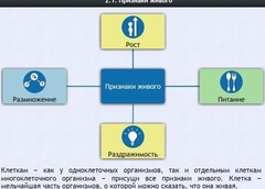 Интерактивные курсы. Биология 5 класс. Базовый - fgospostavki.ru - Красный Сулин