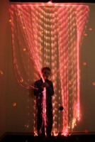 Мерцающий занавес в комплекте с источником света - fgospostavki.ru - Красный Сулин