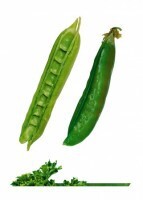 Комплект карточек "Запоминай, играй, считай" -  Овощи - fgospostavki.ru - Красный Сулин