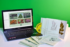 Гербарий натурально-интерактивный "Лекарственные растения" - fgospostavki.ru - Красный Сулин