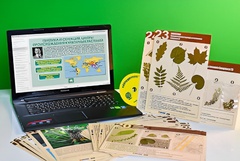 Гербарий натурально-интерактивный к курсу основ общей биологии - fgospostavki.ru - Красный Сулин