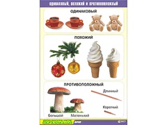 Таблица демонстрационная "Одинаковый, похожий и противоположный" (винил 70x100) - fgospostavki.ru - Красный Сулин