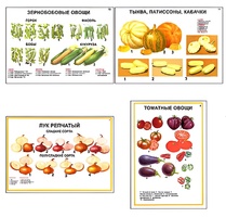 Плакаты ПРОФТЕХ "Ассортимент овощных культур" (12 пл, винил, 70х100) - fgospostavki.ru - Красный Сулин