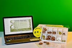 Коллекция натурально-интерактивная "Палеонтологическая" - fgospostavki.ru - Красный Сулин